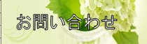�T���v���o�i�[